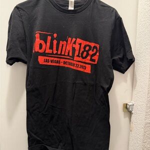 Blink 182 When We Were Young Festival